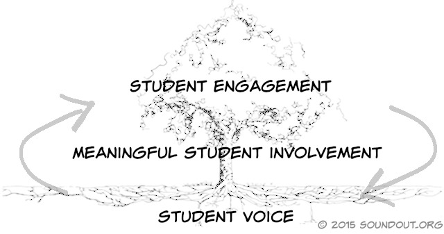 Student Voice Meaningful Student Involvement Student Engagement Process